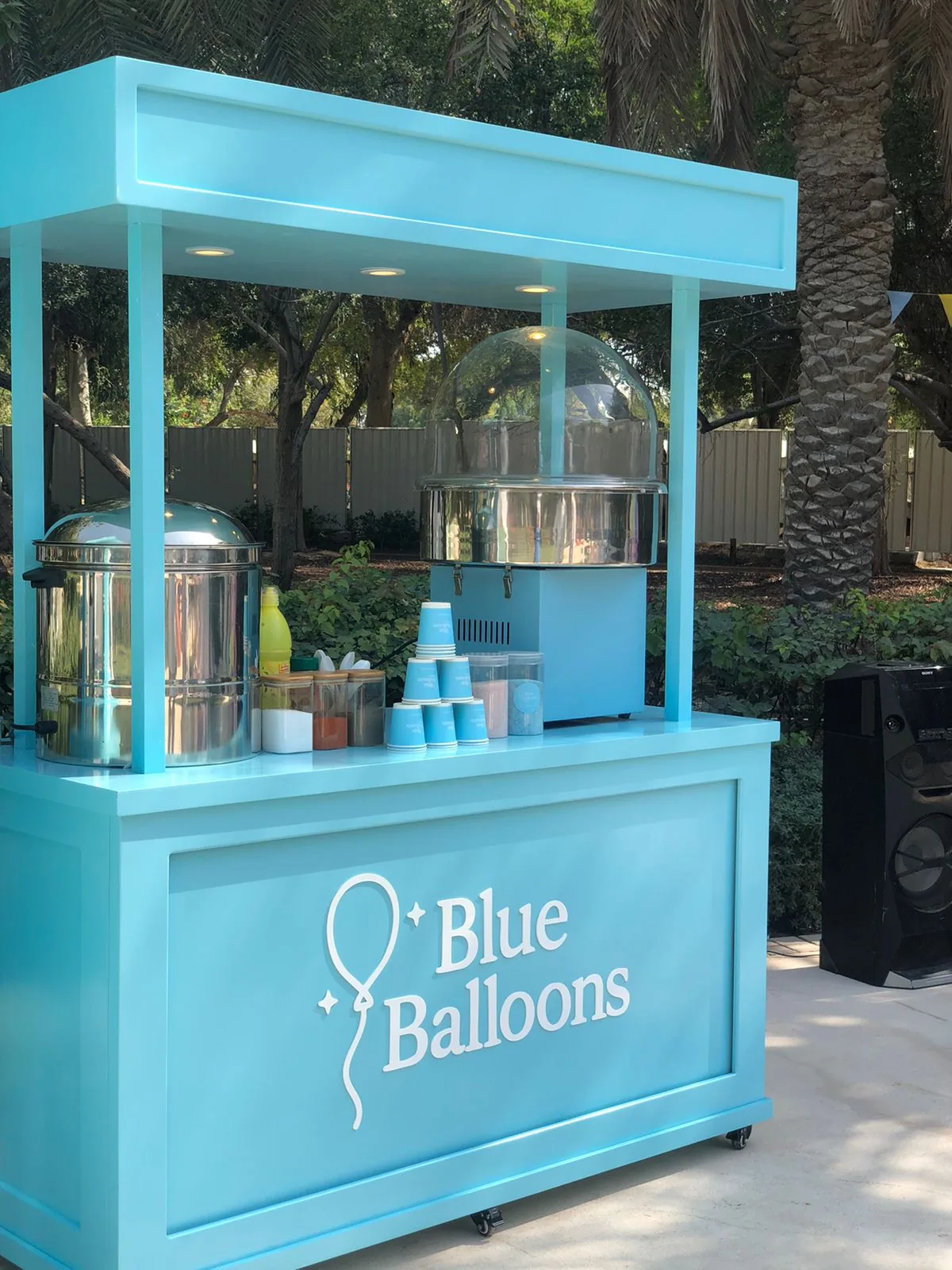Blue Balloons in an outdoor setting